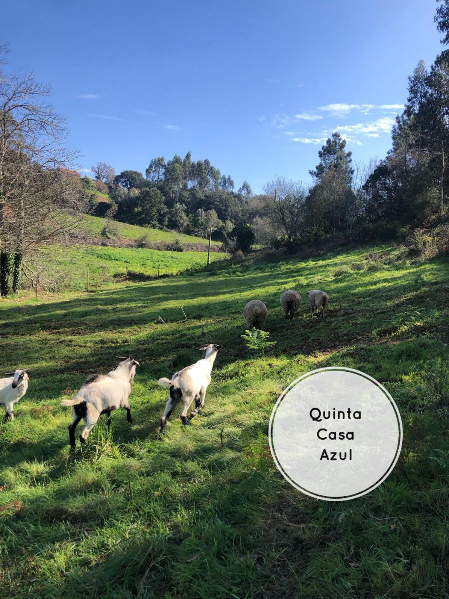 Quinta Da Casa Azul Villa Óbidos Exteriör bild